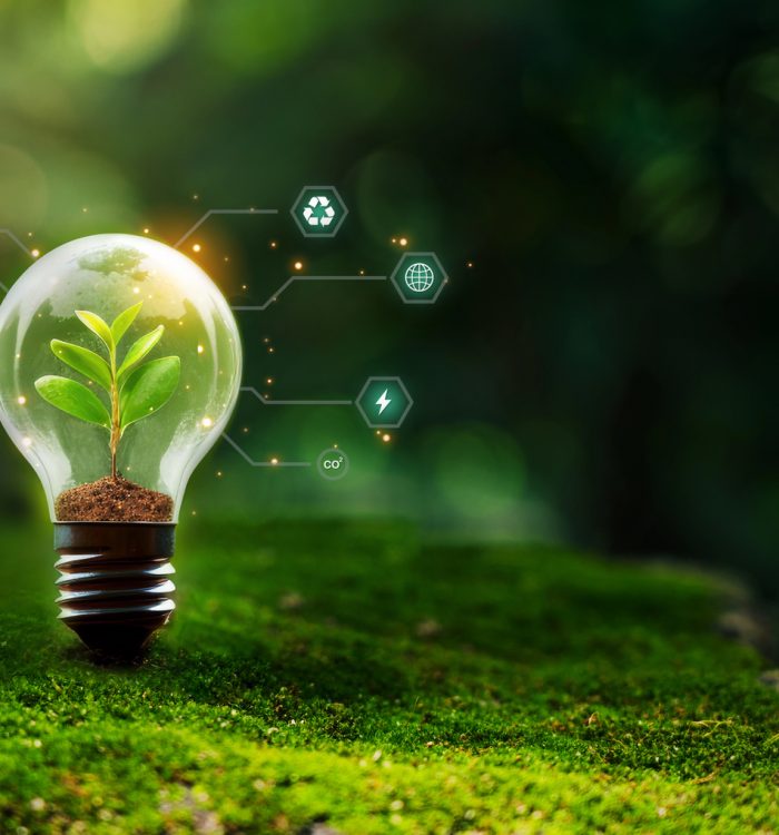 Environmental, Social & Governance: ESG-Definition im Überblick